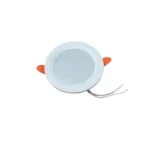ceiling-panel-in-7w-1